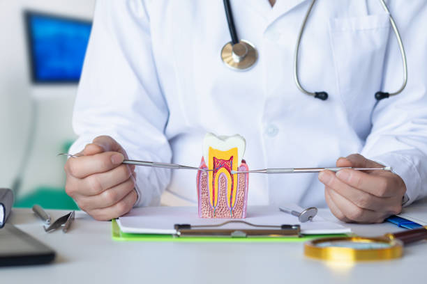 Best Dentist for Tooth Abscess  in Ellensburg, WA
